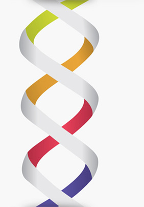 Our DNA